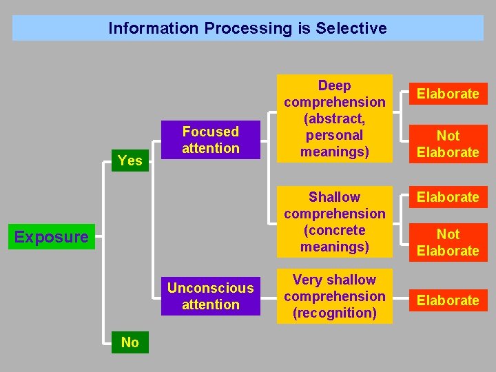 Information Processing is Selective Yes Focused attention Deep comprehension (abstract, personal meanings) Shallow comprehension