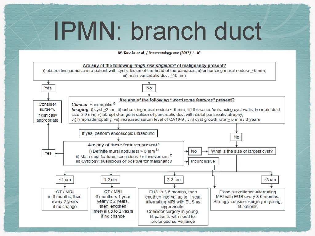 IPMN: branch duct 