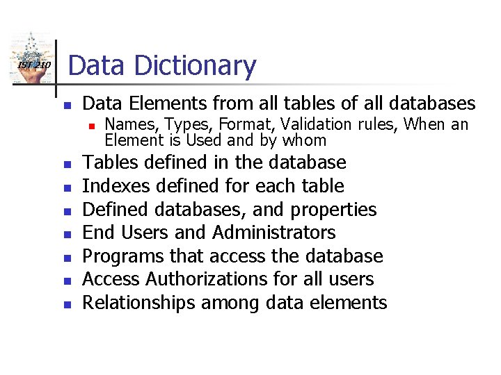 IST 210 Data Dictionary n Data Elements from all tables of all databases n