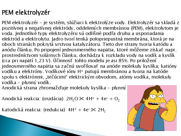 PEM elektrolyzér - je systém, slúžiaci k elektrolýze vody. Elektrolyzér sa skladá z pozitívnej