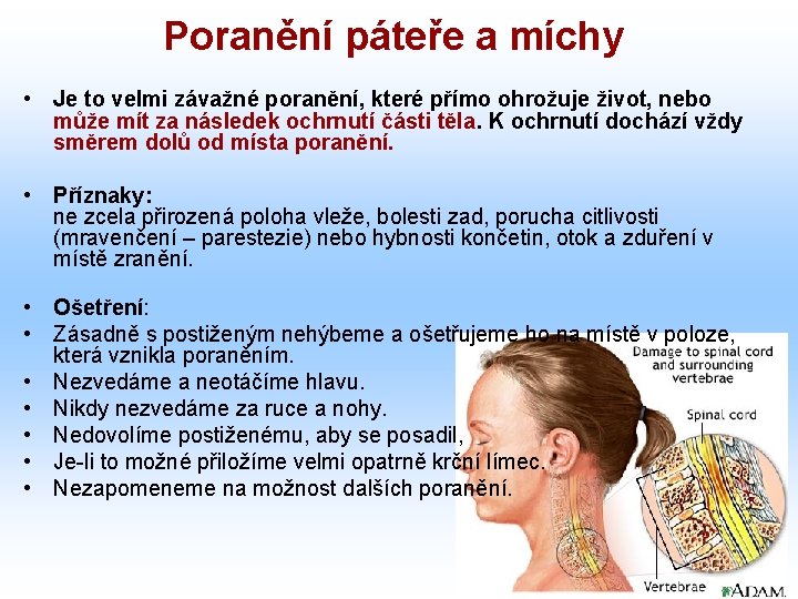 Poranění páteře a míchy • Je to velmi závažné poranění, které přímo ohrožuje život,
