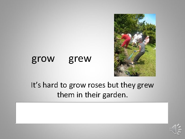 grow grew It’s hard to grow roses but they grew them in their garden.