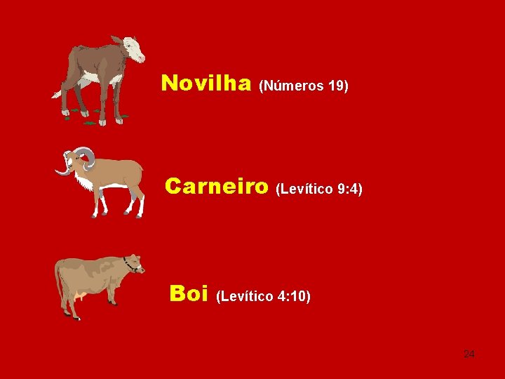 Novilha (Números 19) Carneiro (Levítico 9: 4) Boi (Levítico 4: 10) 24 