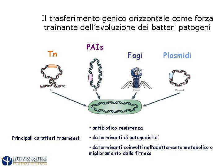 Il trasferimento genico orizzontale come forza trainante dell’evoluzione dei batteri patogeni Tn PAIs Fagi