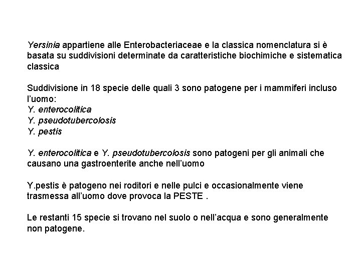 Yersinia appartiene alle Enterobacteriaceae e la classica nomenclatura si è basata su suddivisioni determinate