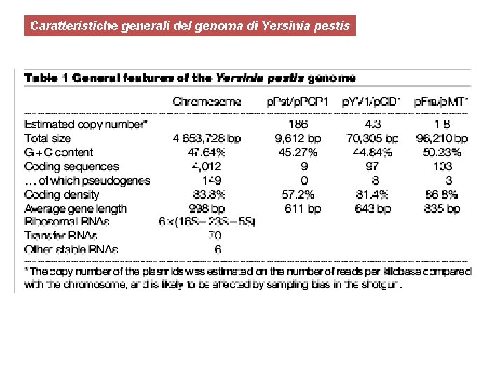 Caratteristiche generali del genoma di Yersinia pestis 