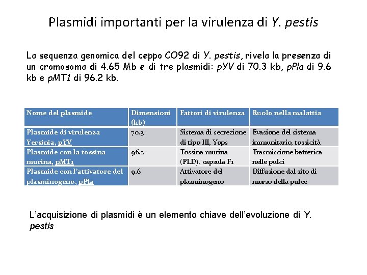 Plasmidi importanti per la virulenza di Y. pestis La sequenza genomica del ceppo CO