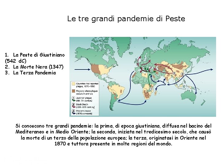 Le tre grandi pandemie di Peste 1. La Peste di Giustiniano (542 d. C)