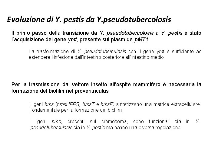 Evoluzione di Y. pestis da Y. pseudotubercolosis Il primo passo della transizione da Y.