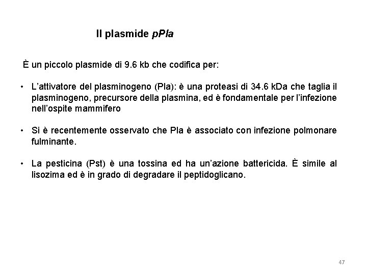 Il plasmide p. Pla È un piccolo plasmide di 9. 6 kb che codifica