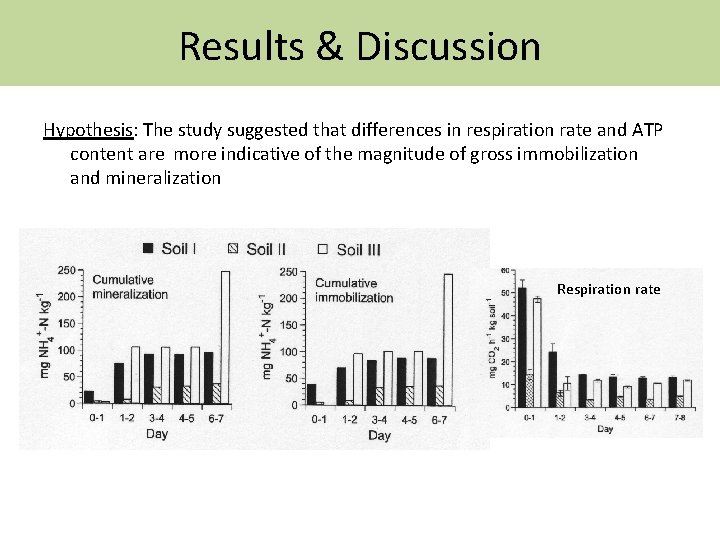 Results & Discussion Hypothesis: The study suggested that differences in respiration rate and ATP