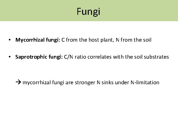 Fungi • Mycorrhizal fungi: C from the host plant, N from the soil •