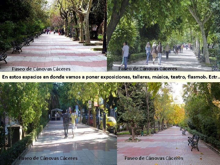 Paseo de Cánovas Cáceres En estos espacios en donde vamos a poner exposiciones, talleres,