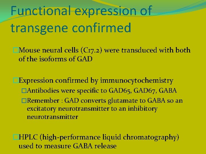 Functional expression of transgene confirmed �Mouse neural cells (C 17. 2) were transduced with