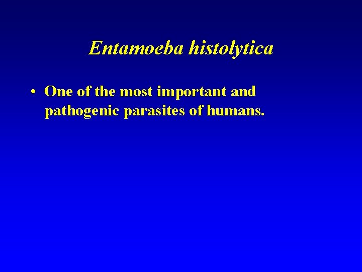 Entamoeba histolytica • One of the most important and pathogenic parasites of humans. 