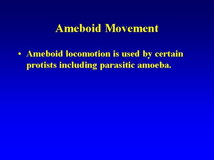 Ameboid Movement • Ameboid locomotion is used by certain protists including parasitic amoeba. 