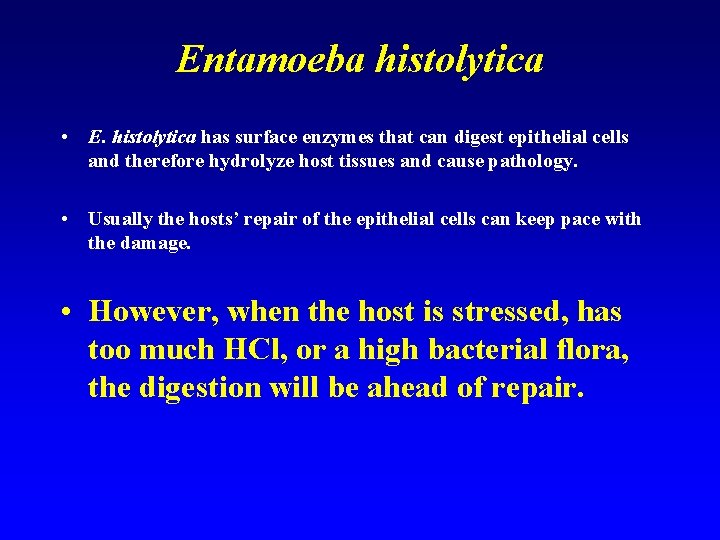 Entamoeba histolytica • E. histolytica has surface enzymes that can digest epithelial cells and