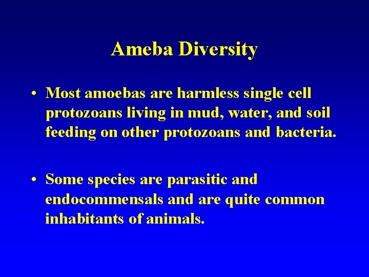 Ameba Diversity • Most amoebas are harmless single cell protozoans living in mud, water,