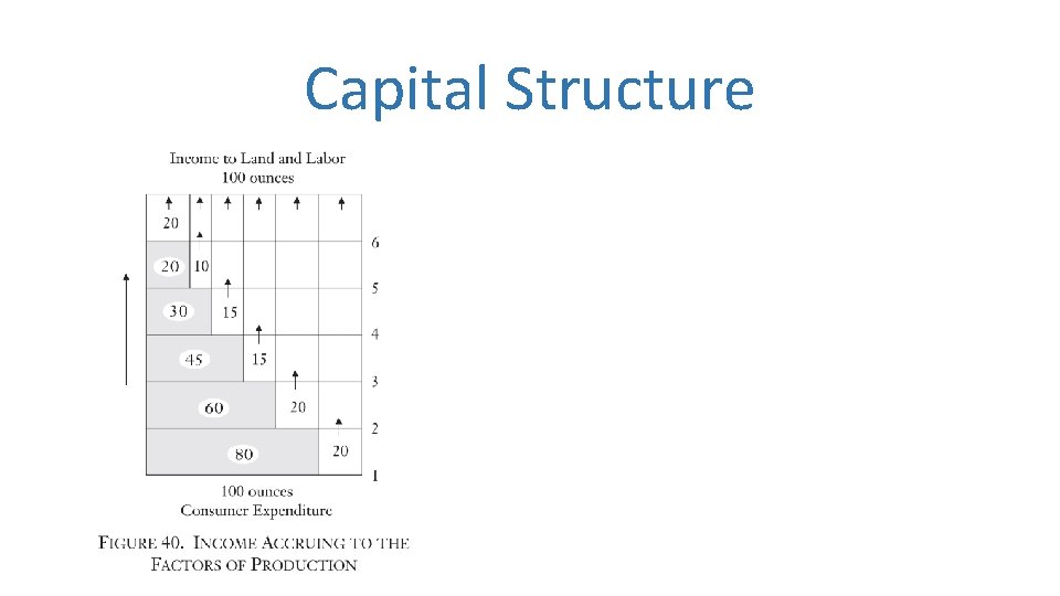 Capital Structure 