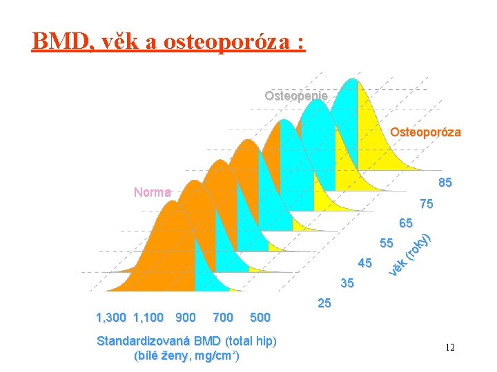 BMD, věk a osteoporóza : Osteopenie Osteoporóza 85 Norma 75 65 45 35 1,