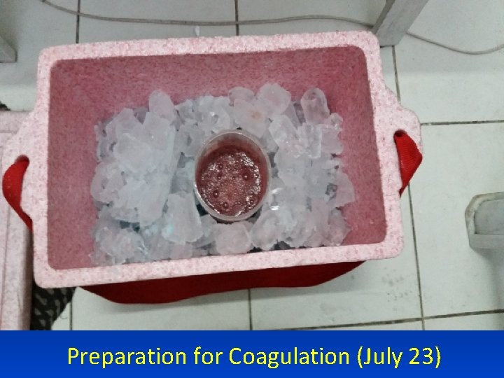 Preparation for Coagulation (July 23) 