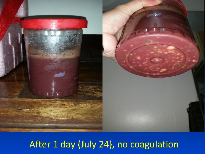 After 1 day (July 24), no coagulation 