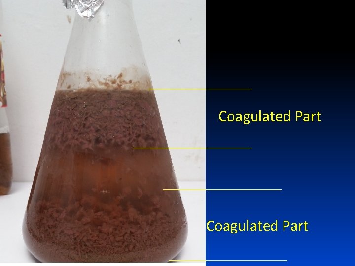 Coagulated Part 