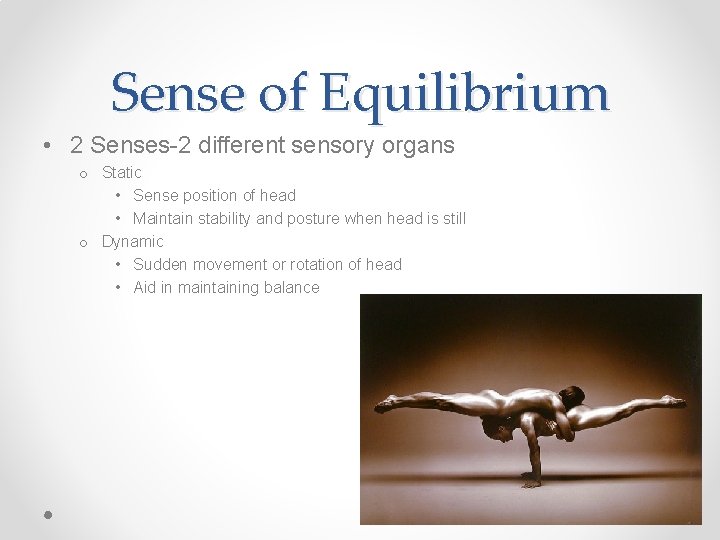 Sense of Equilibrium • 2 Senses-2 different sensory organs o Static • Sense position