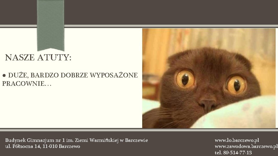 NASZE ATUTY: ● DUŻE, BARDZO DOBRZE WYPOSAŻONE PRACOWNIE… Budynek Gimnazjum nr 1 im. Ziemi