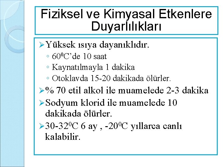Fiziksel ve Kimyasal Etkenlere Duyarlılıkları Ø Yüksek ısıya dayanıklıdır. ◦ 600 C’de 10 saat
