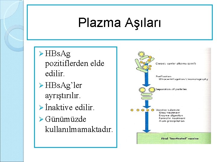 Plazma Aşıları Ø HBs. Ag pozitiflerden elde edilir. Ø HBs. Ag’ler ayrıştırılır. Ø İnaktive