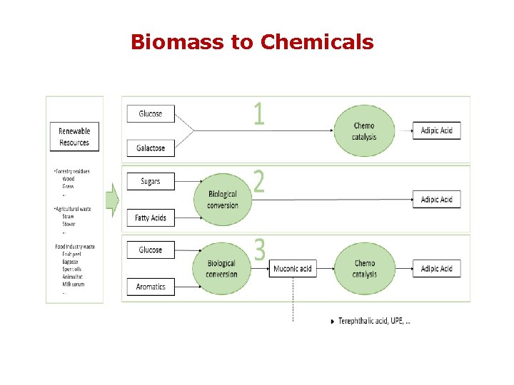 Biomass to Chemicals 