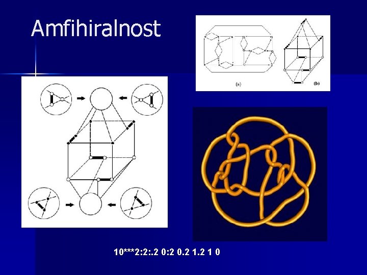 Amfihiralnost 10***2: 2: . 2 0: 2 0. 2 1 0 