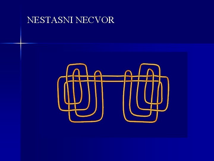 NESTASNI NECVOR 