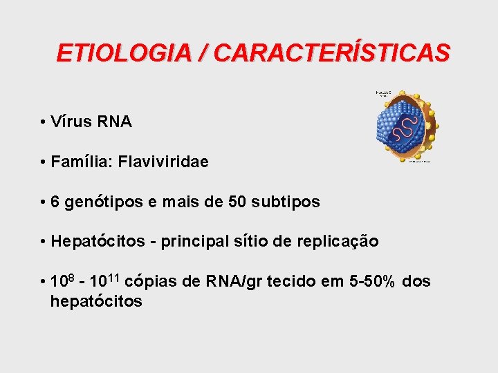 ETIOLOGIA / CARACTERÍSTICAS • Vírus RNA • Família: Flaviviridae • 6 genótipos e mais