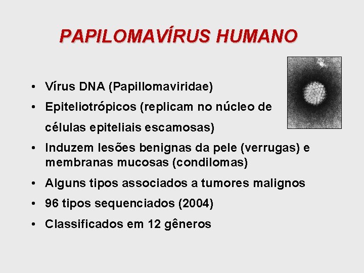 PAPILOMAVÍRUS HUMANO • Vírus DNA (Papillomaviridae) • Epiteliotrópicos (replicam no núcleo de células epiteliais