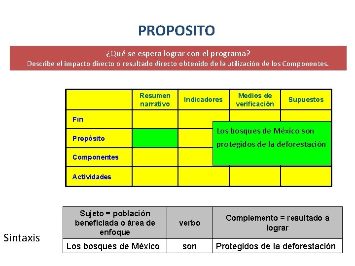 PROPOSITO ¿Qué se espera lograr con el programa? Describe el impacto directo o resultado