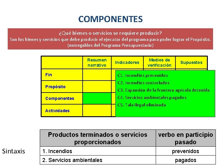 COMPONENTES ¿Qué bienes o servicios se requiere producir? Son los bienes y servicios que