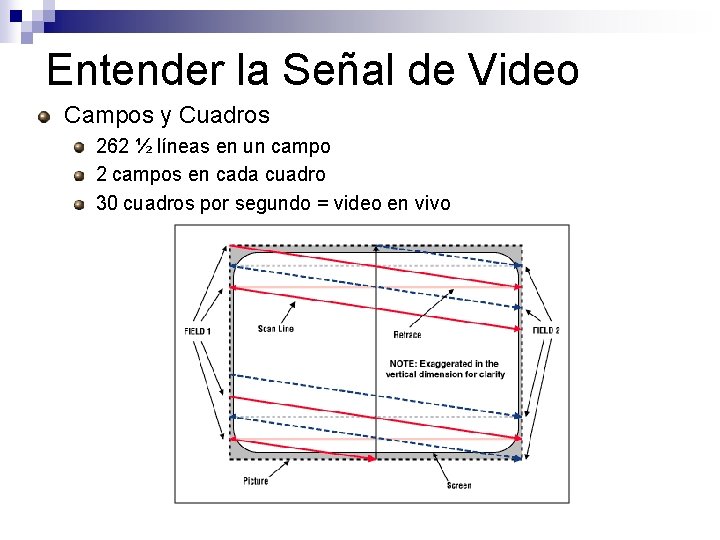 Entender la Señal de Video Campos y Cuadros 262 ½ líneas en un campo