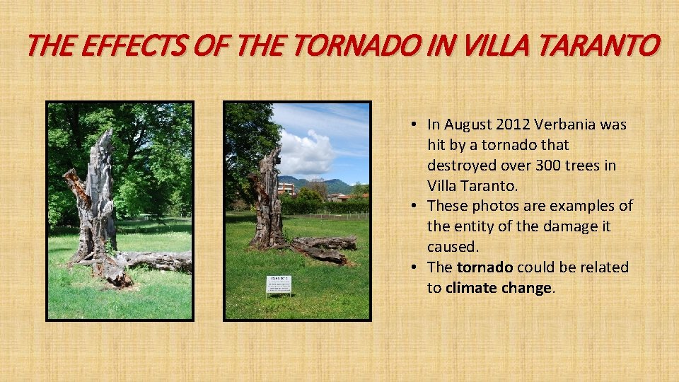 THE EFFECTS OF THE TORNADO IN VILLA TARANTO • In August 2012 Verbania was