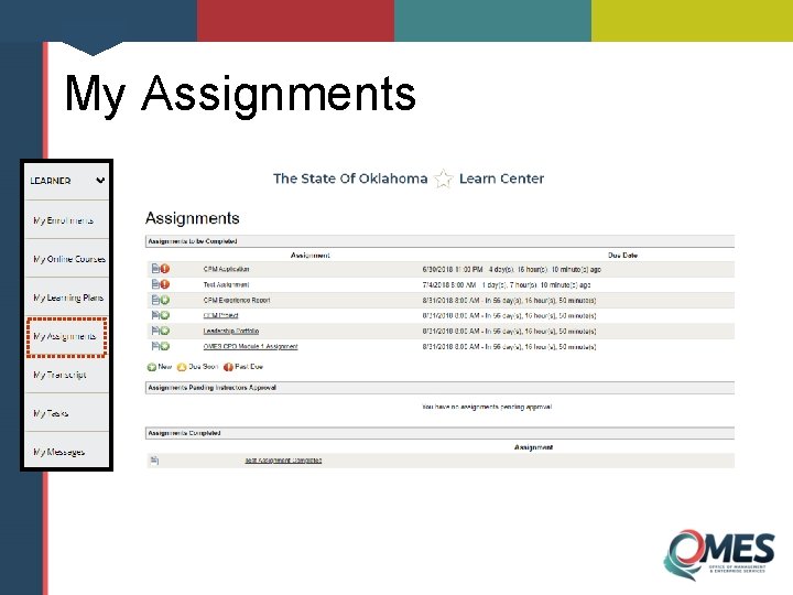 My Assignments 