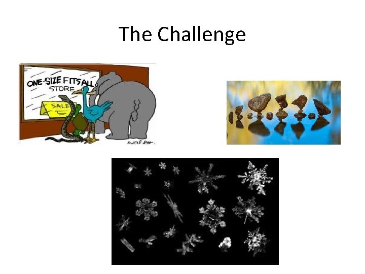 The Challenge 