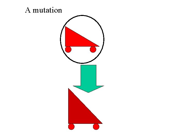 A mutation A mutation