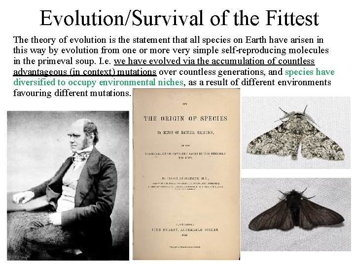 Evolution/Survival of the Fittest The theory of evolution is the statement that all species Evolution/Survival of the Fittest The theory of evolution is the statement that all species