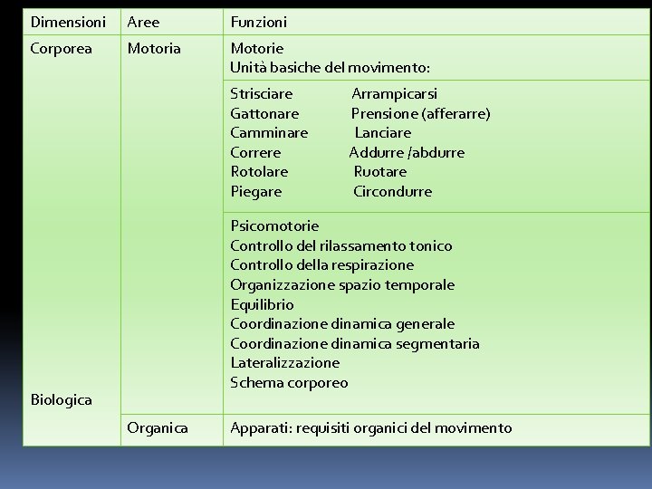 Dimensioni Aree Funzioni Corporea Motorie Unità basiche del movimento: Strisciare Arrampicarsi Gattonare Prensione (afferarre)