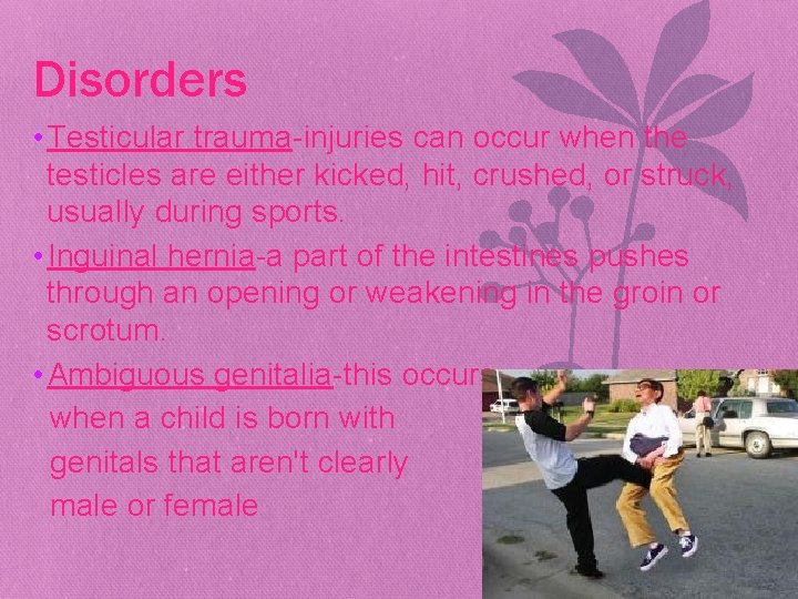 Disorders • Testicular trauma-injuries can occur when the testicles are either kicked, hit, crushed,