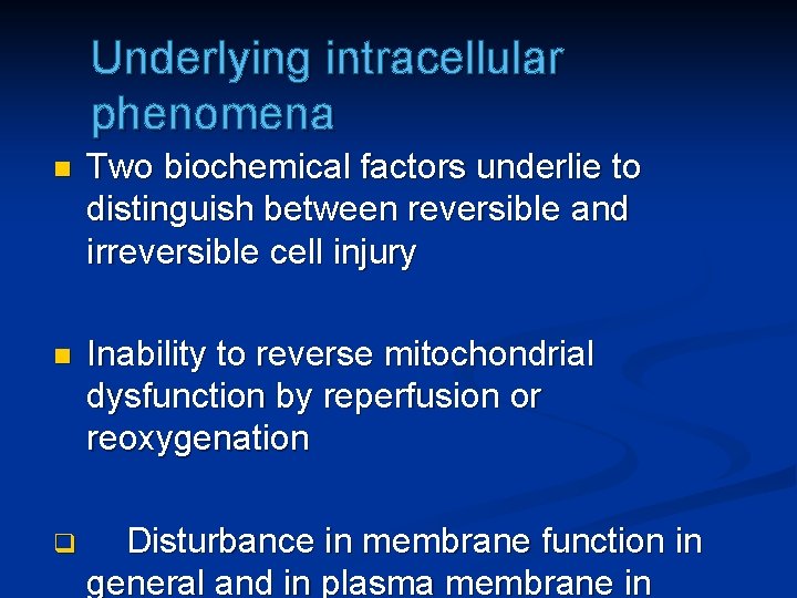 Underlying intracellular phenomena n Two biochemical factors underlie to distinguish between reversible and irreversible