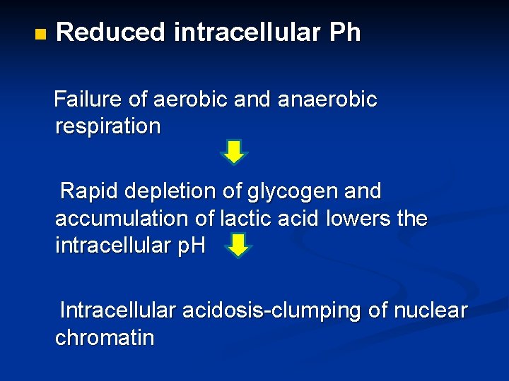 n Reduced intracellular Ph Failure of aerobic and anaerobic respiration Rapid depletion of glycogen