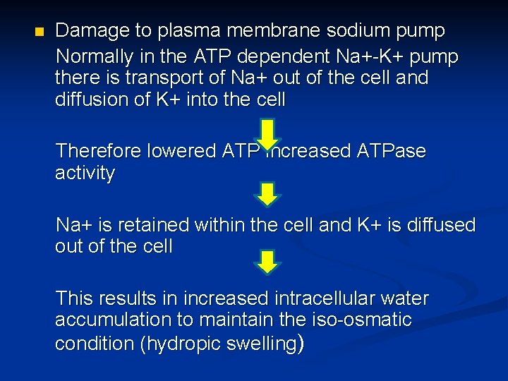 Damage to plasma membrane sodium pump Normally in the ATP dependent Na+-K+ pump there