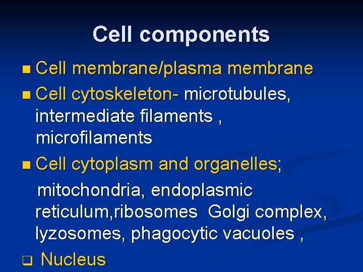Cell components n Cell membrane/plasma membrane n Cell cytoskeleton- microtubules, intermediate filaments , microfilaments